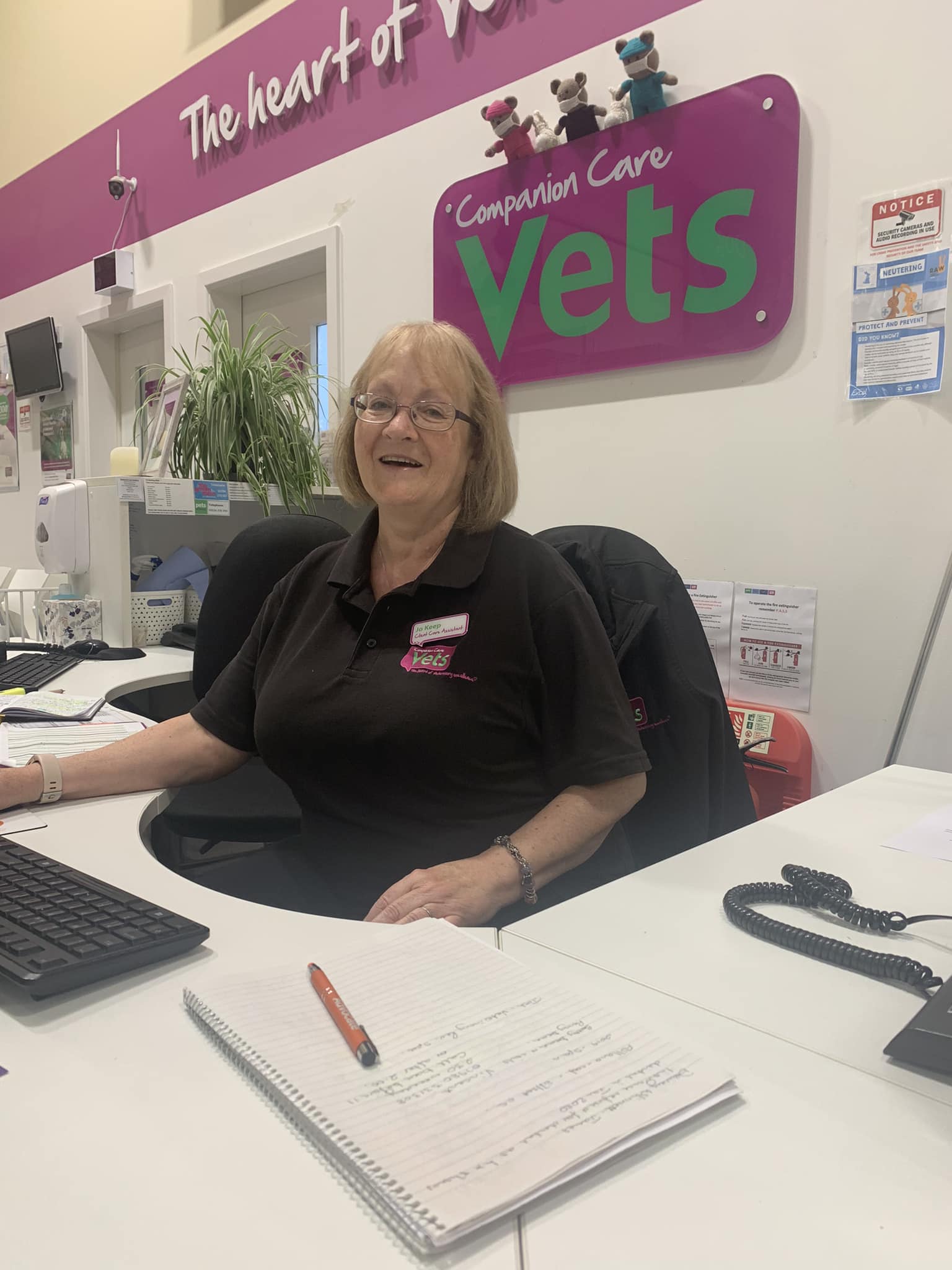 Companion care vets opening sales times