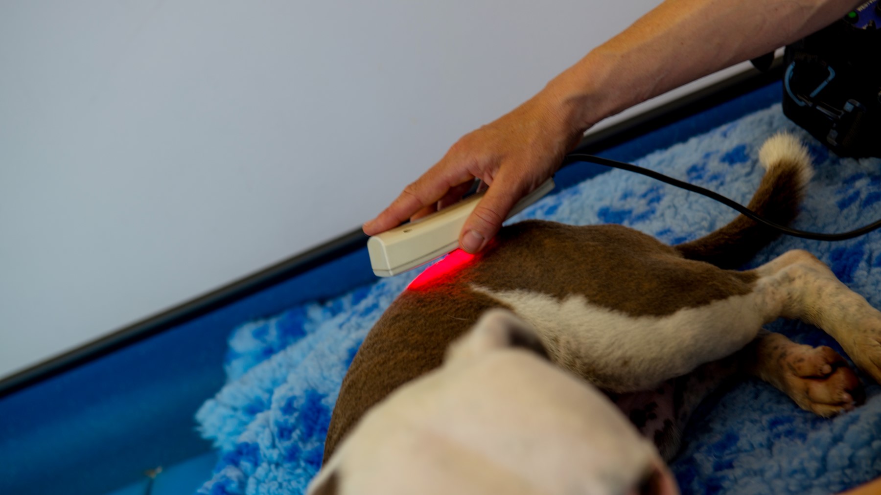 Laser therapy