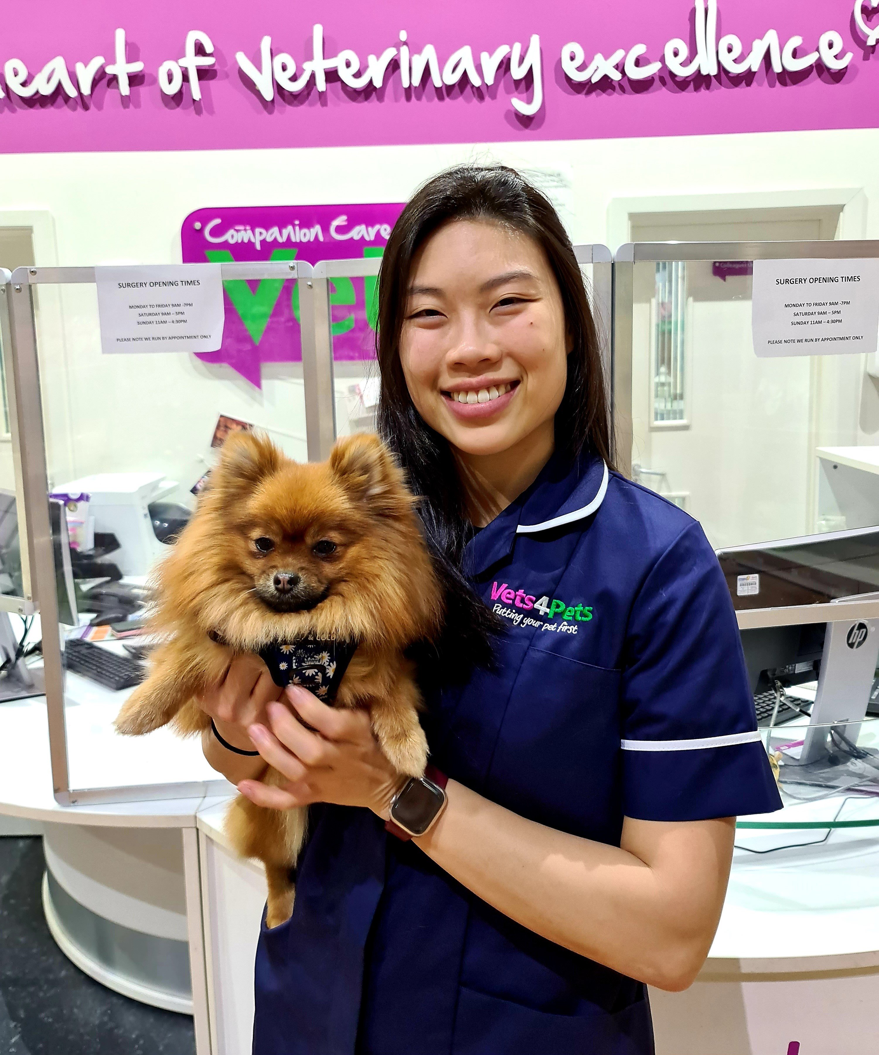 Companion care sale vets4pets