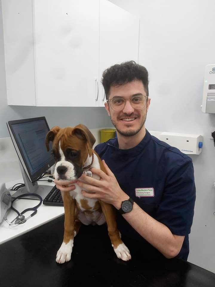 Carlos with boxer pup